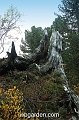 wbgarden alps 86